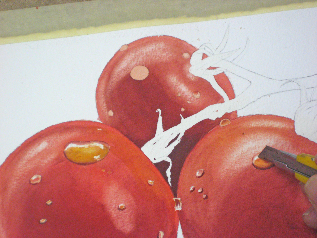watercolor tomatoes 12