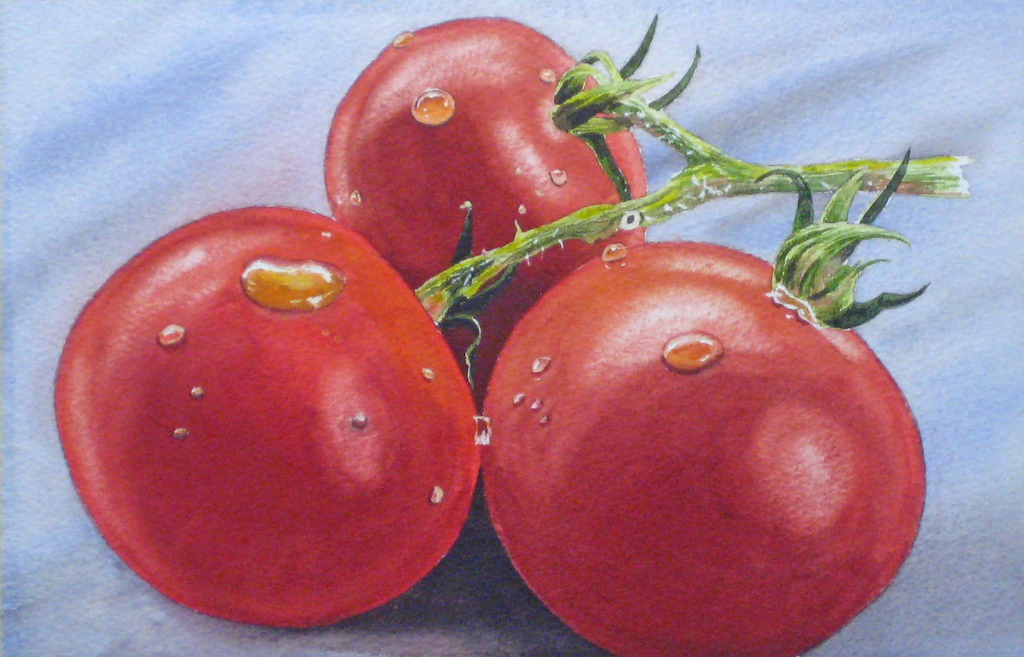 watercolor tomatoes final