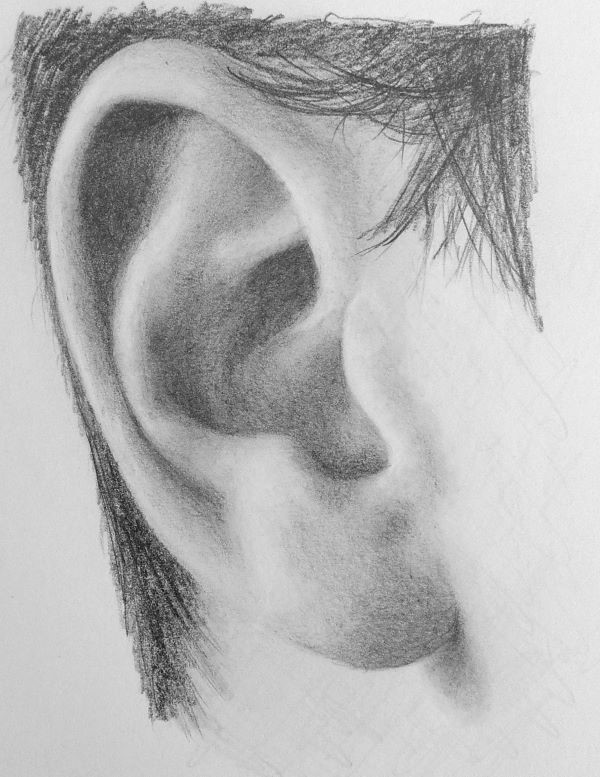 14-final-ear-drawing.jpg