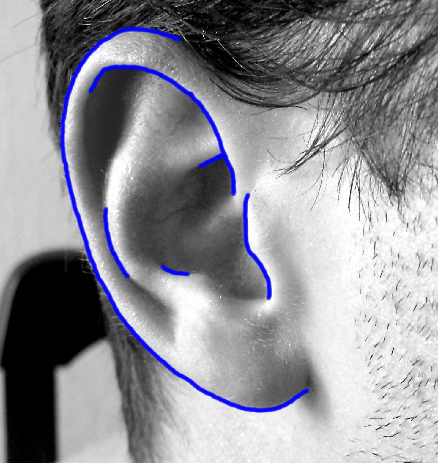 how to draw the ear step by step
