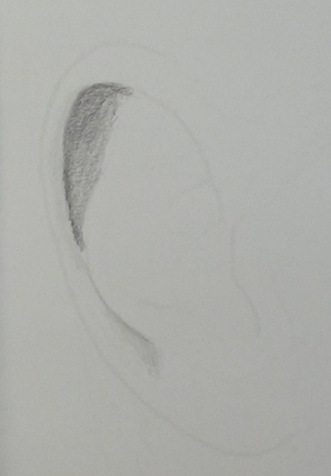 6-helix-basic-shading