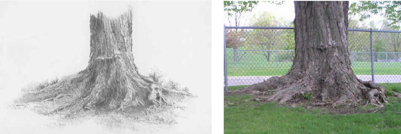 how to draw trees with pencil