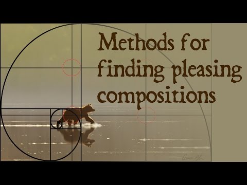 How to Find a Pleasing Composition for your Art with Aaron Blaise