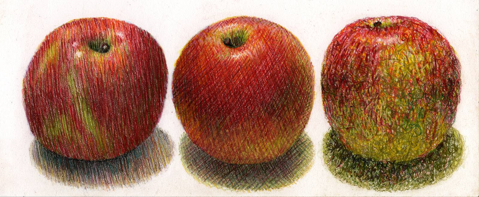 Colored Pencil Techniques - hatching and Cross Hatching and Textures