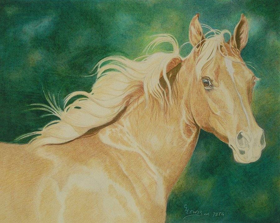 lewis-carrie-palomino-filly-19