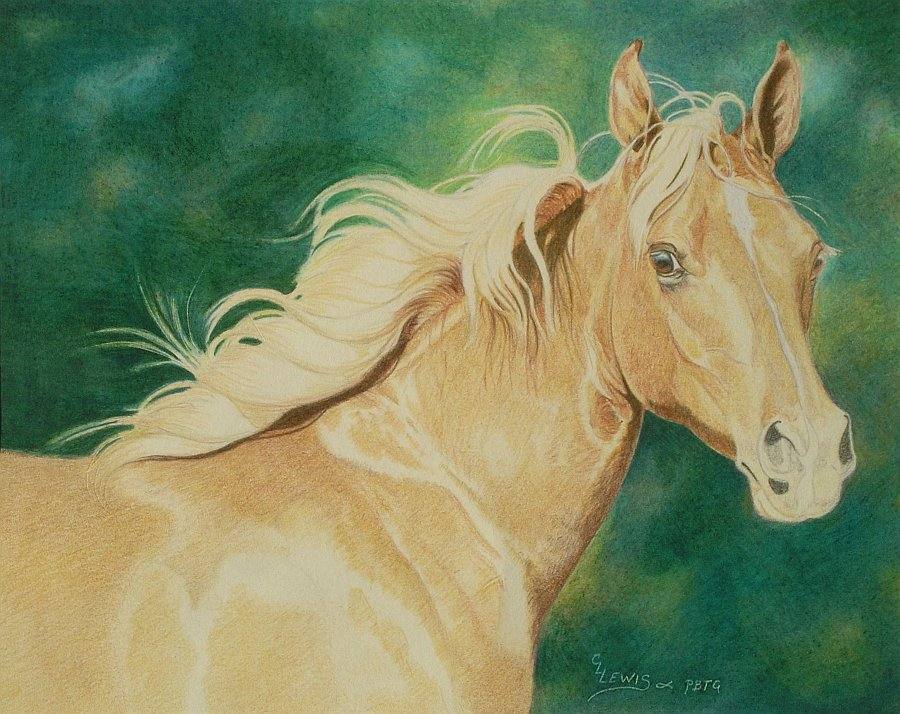 lewis-carrie-palomino-filly-20
