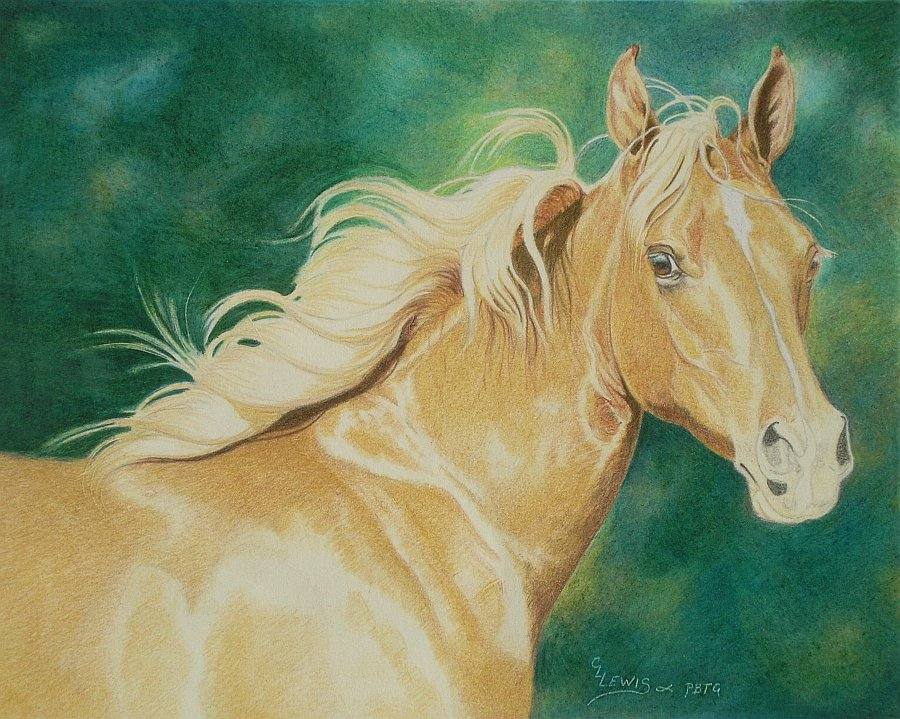 lewis-carrie-palomino-filly-22