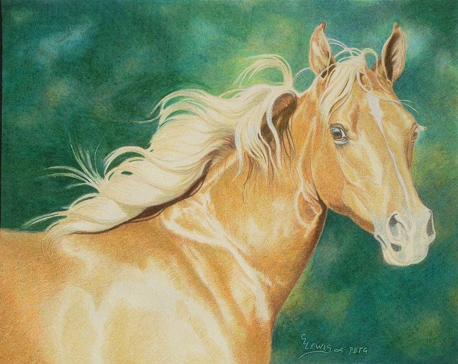 lewis-carrie-palomino-filly-23