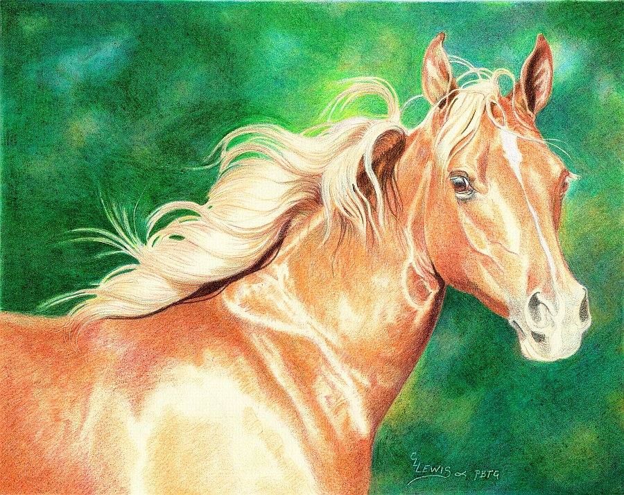 lewis-carrie-palomino-filly-24