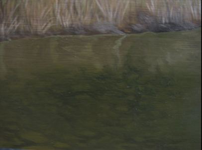 wildlife-oil-painting-lessons-11