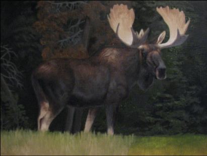 wildlife-painting-demo-7