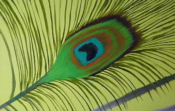 Peacock Painting Demonstration in Oils