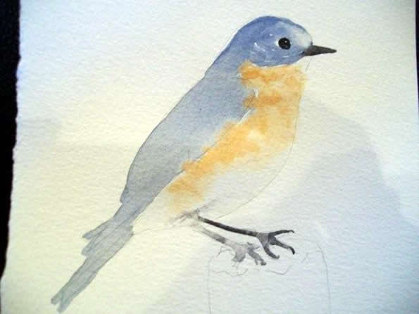 Watercolor Tutorial Bluebird Painting