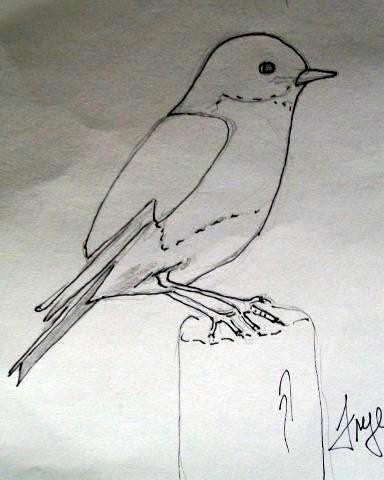 Watercolor Lesson - Bluebird Sketch