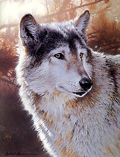 Wildlife Wolf Acrylic Painting Tutorial