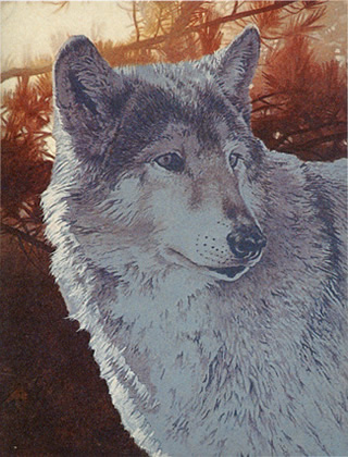 Acrylic Painting Lesson Wolf