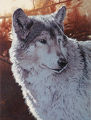 Acrylic Painting Wildlife Tutorial