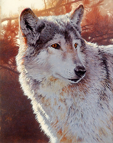 Wolf Acrylic Painting Tutorial Picture