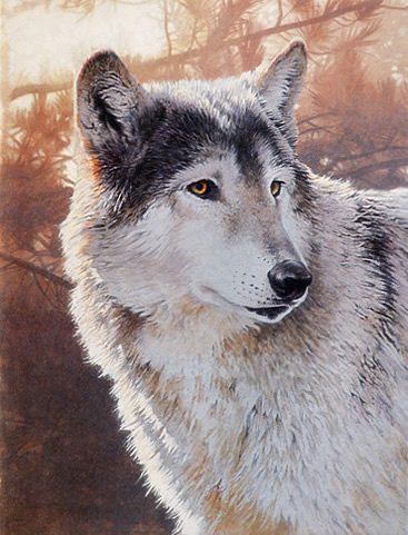 Wildlife Wolf Acrylic Painting Techniques