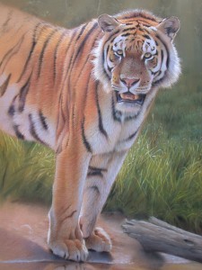 Tiger Painting Tutorial Image 10