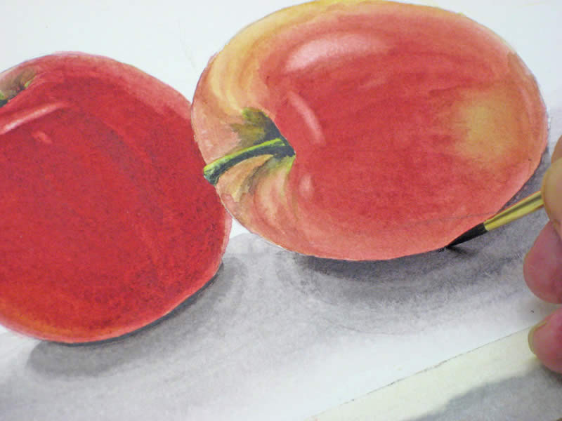 beginner watercolor painting lessons