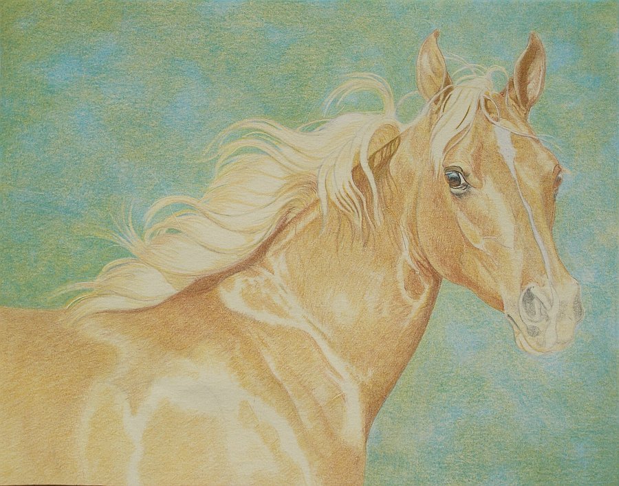 lewis-carrie-palomino-filly-12