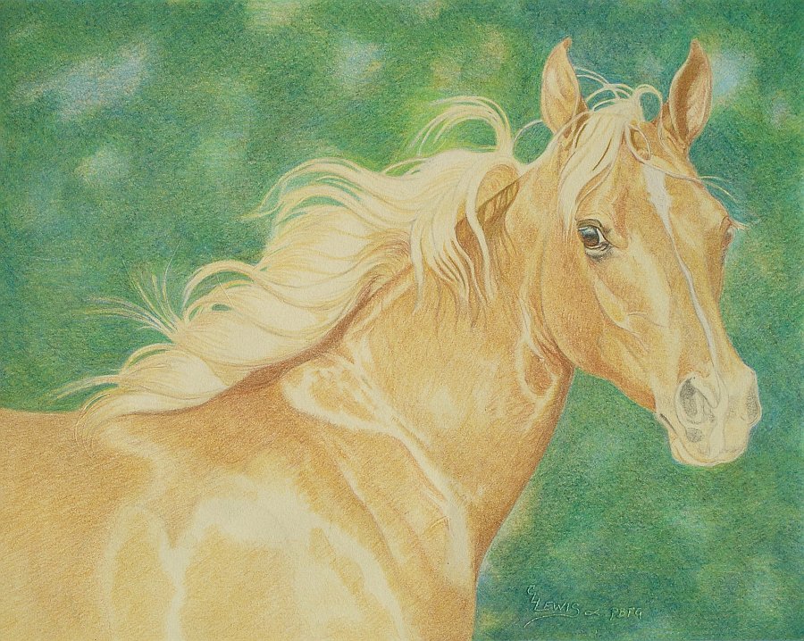 lewis-carrie-palomino-filly-16