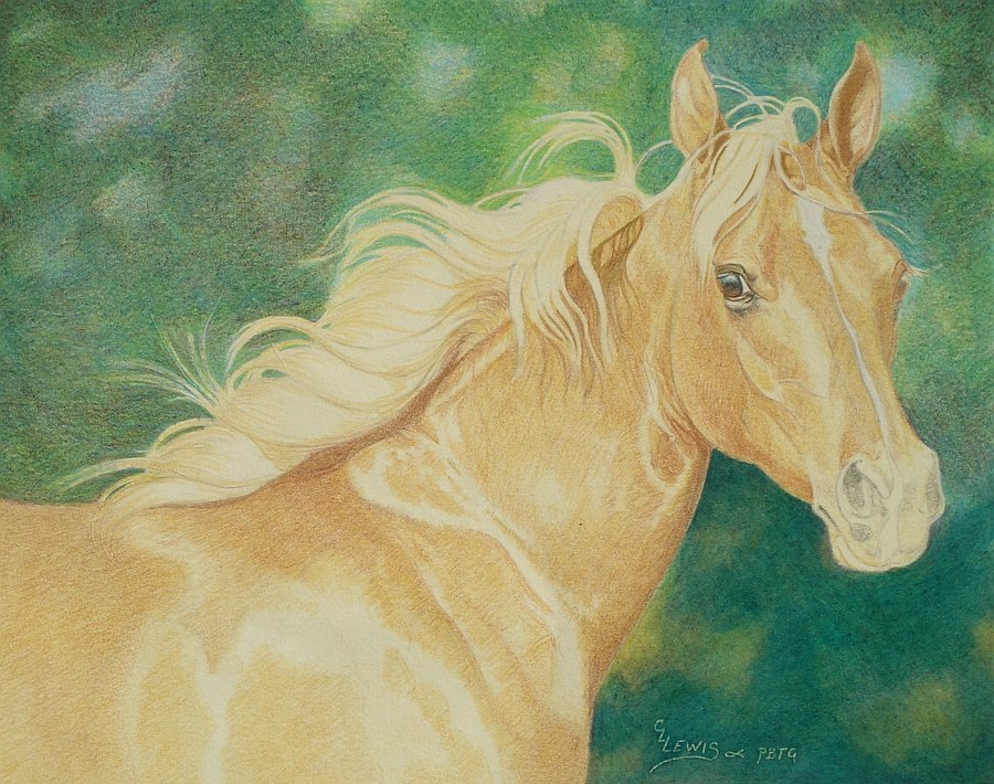 lewis-carrie-palomino-filly-17