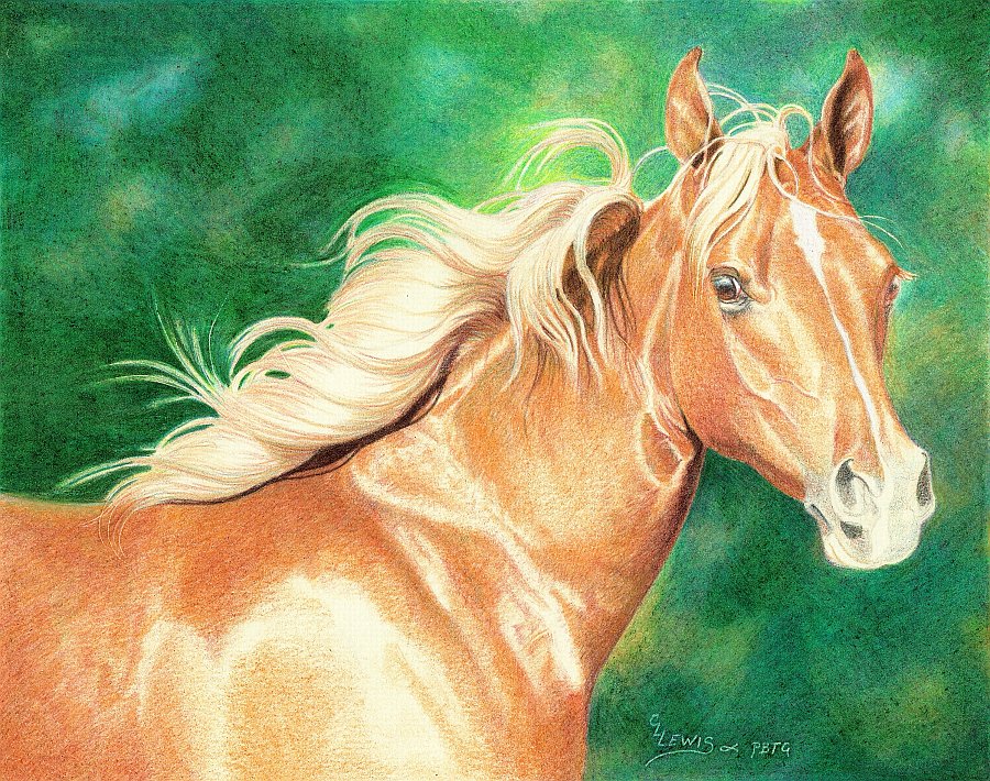 lewis-carrie-palomino-filly-25