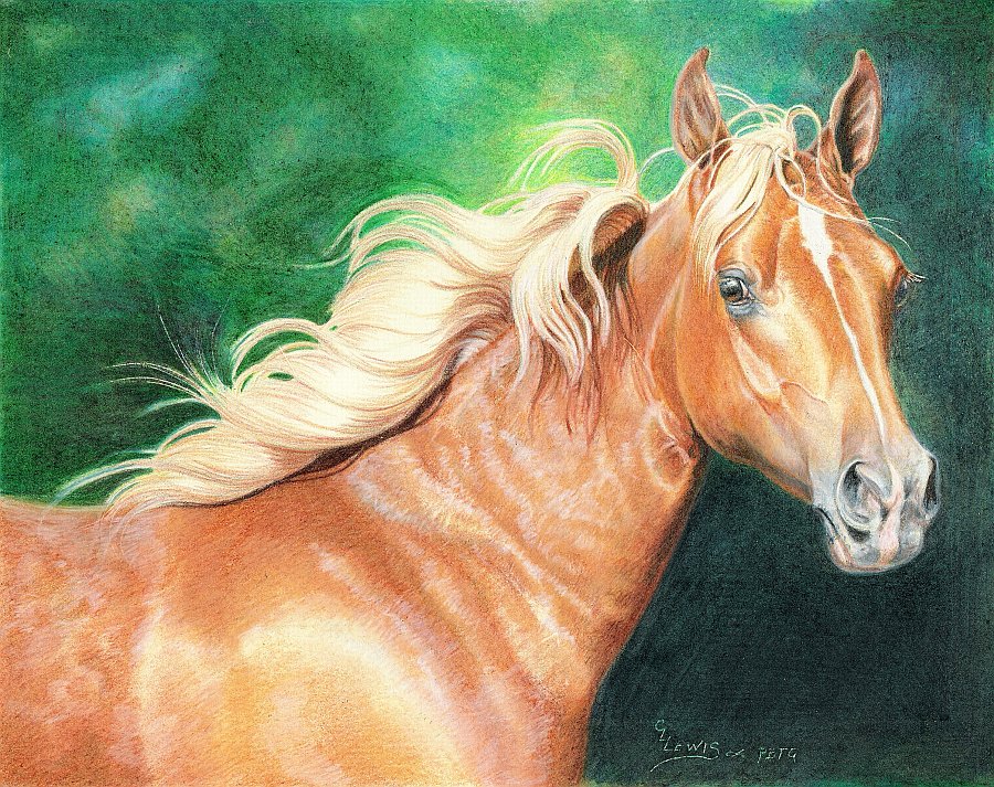 lewis-carrie-palomino-filly-31